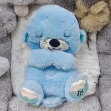 Load image into Gallery viewer, Breathing Otter & Friends