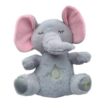 Load image into Gallery viewer, Breathing Otter & Friends